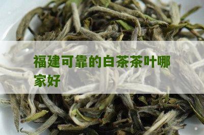 福建可靠的白茶茶叶哪家好