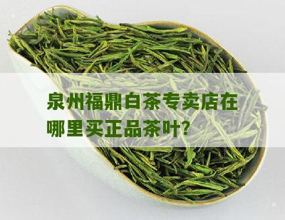 泉州福鼎白茶专卖店在哪里买正品茶叶？