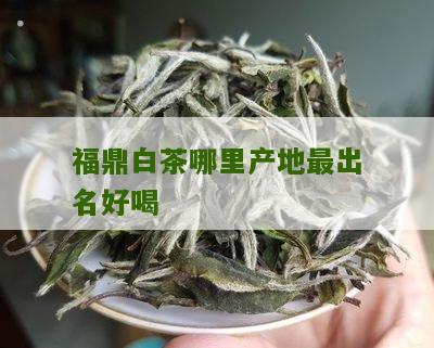 福鼎白茶哪里产地最出名好喝