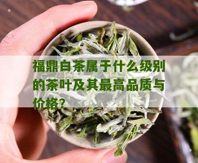 福鼎白茶属于什么级别的茶叶及其最高品质与价格？