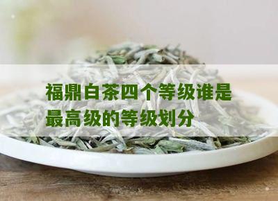 福鼎白茶四个等级谁是最高级的等级划分