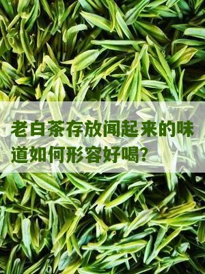 老白茶存放闻起来的味道如何形容好喝？