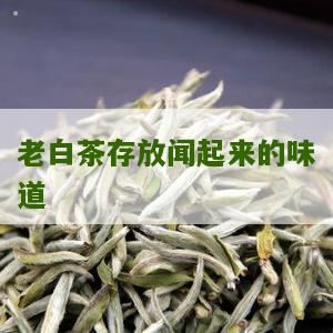 老白茶存放闻起来的味道