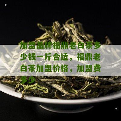 加盟品牌福鼎老白茶多少钱一斤合适，福鼎老白茶加盟价格，加盟费多少