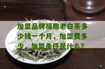 加盟品牌福鼎老白茶多少钱一个月，加盟费多少，加盟条件是什么？