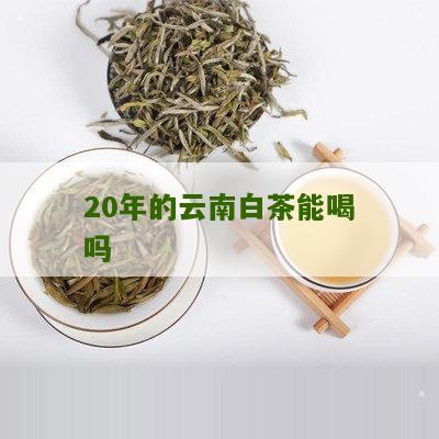 20年的云南白茶能喝吗