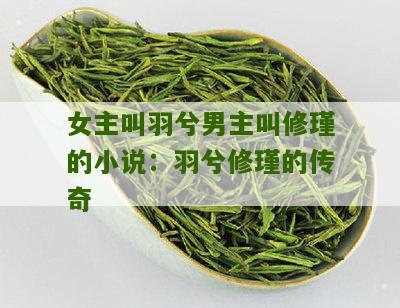 女主叫羽兮男主叫修瑾的小说：羽兮修瑾的传奇