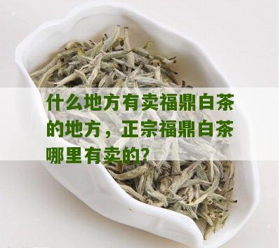 什么地方有卖福鼎白茶的地方，正宗福鼎白茶哪里有卖的？