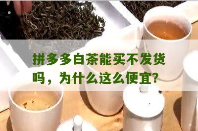 拼多多白茶能买不发货吗，为什么这么便宜？