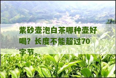 紫砂壶泡白茶哪种壶好喝？长度不能超过70字节。