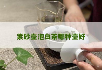 紫砂壶泡白茶哪种壶好