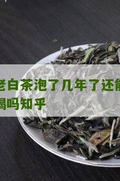 老白茶泡了几年了还能喝吗知乎