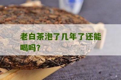 老白茶泡了几年了还能喝吗？