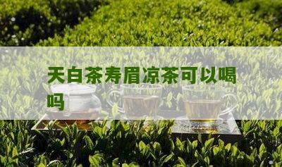 天白茶寿眉凉茶可以喝吗