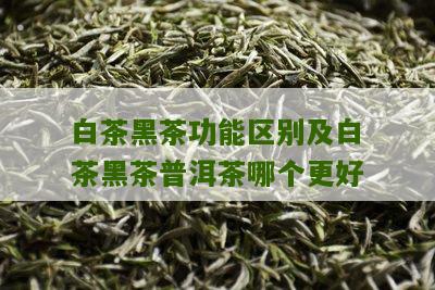 白茶黑茶功能区别及白茶黑茶普洱茶哪个更好