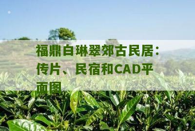 福鼎白琳翠郊古民居：传片、民宿和CAD平面图