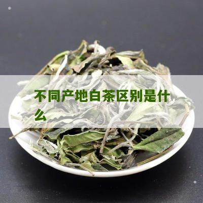 不同产地白茶区别是什么