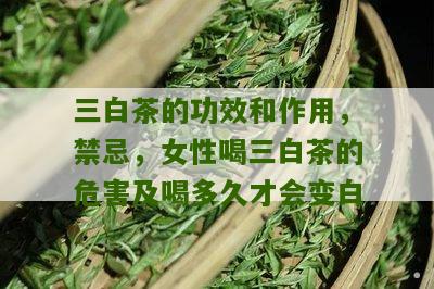 三白茶的功效和作用，禁忌，女性喝三白茶的危害及喝多久才会变白