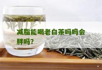 减脂能喝老白茶吗吗会胖吗？