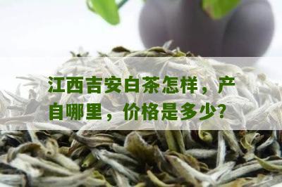 江西吉安白茶怎样，产自哪里，价格是多少？