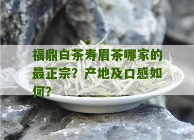 福鼎白茶寿眉茶哪家的最正宗？产地及口感如何？