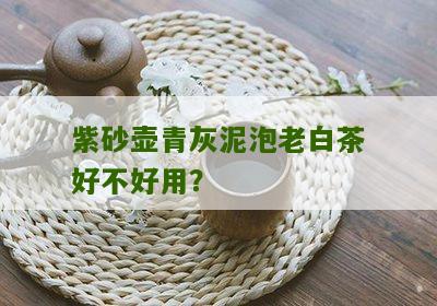 紫砂壶青灰泥泡老白茶好不好用？