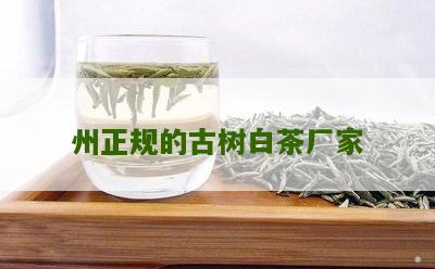 州正规的古树白茶厂家