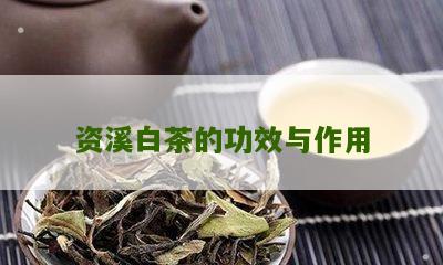 资溪白茶的功效与作用