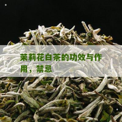 茉莉花白茶的功效与作用，禁忌