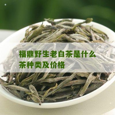 福鼎野生老白茶是什么茶种类及价格