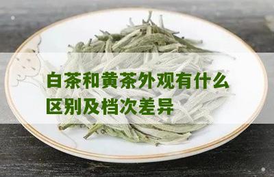 白茶和黄茶外观有什么区别及档次差异