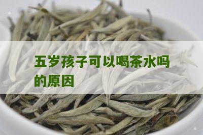 五岁孩子可以喝茶水吗的原因