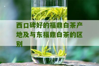 西口碑好的福鼎白茶产地及与东福鼎白茶的区别