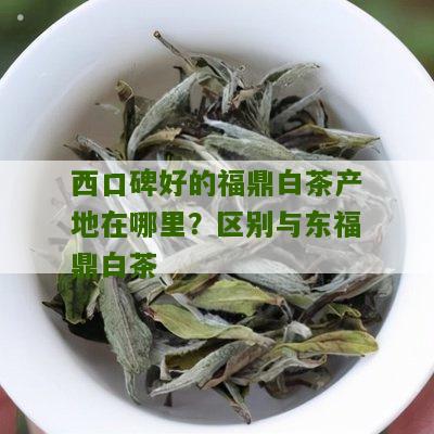 西口碑好的福鼎白茶产地在哪里？区别与东福鼎白茶