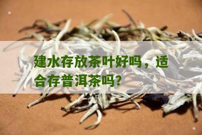 建水存放茶叶好吗，适合存普洱茶吗？