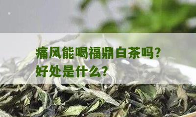 痛风能喝福鼎白茶吗？好处是什么？