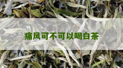 痛风可不可以喝白茶