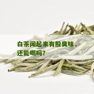 白茶闻起来有股臭味，还能喝吗？