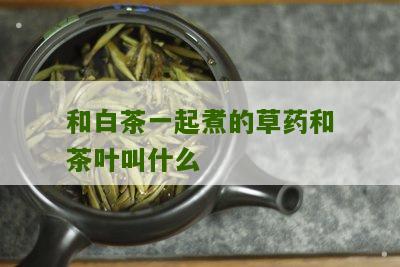 和白茶一起煮的草药和茶叶叫什么