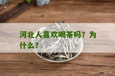 河北人喜欢喝茶吗？为什么？