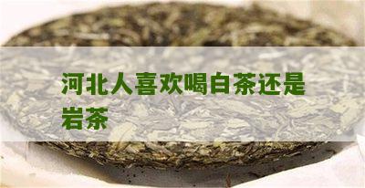 河北人喜欢喝白茶还是岩茶