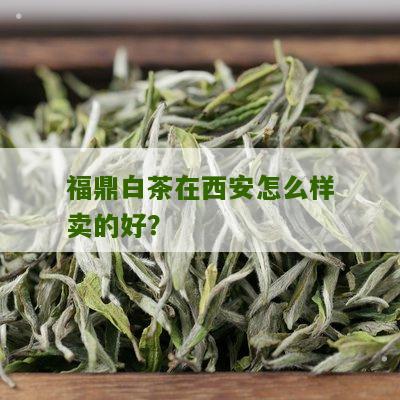 福鼎白茶在西安怎么样卖的好？