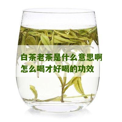 白茶老茶是什么意思啊怎么喝才好喝的功效