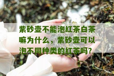 紫砂壶不能泡红茶白茶嘛为什么，紫砂壶可以泡不同种类的红茶吗？