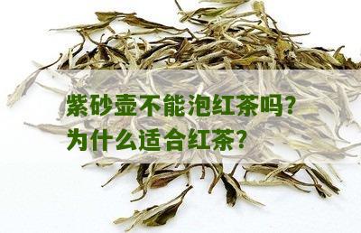 紫砂壶不能泡红茶吗？为什么适合红茶？