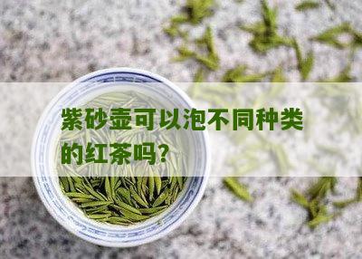 紫砂壶可以泡不同种类的红茶吗？