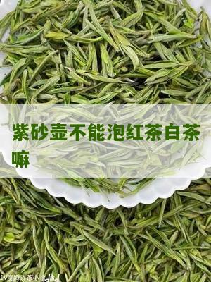 紫砂壶不能泡红茶白茶嘛