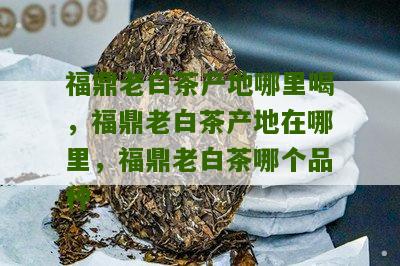 福鼎老白茶产地哪里喝，福鼎老白茶产地在哪里，福鼎老白茶哪个品种