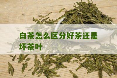 白茶怎么区分好茶还是坏茶叶