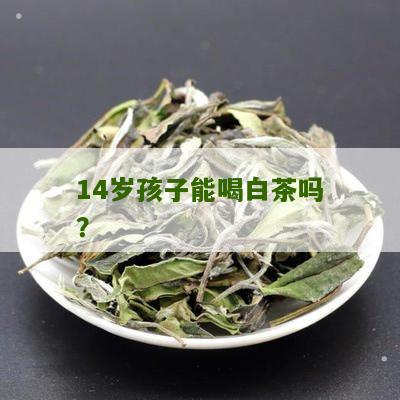 14岁孩子能喝白茶吗？